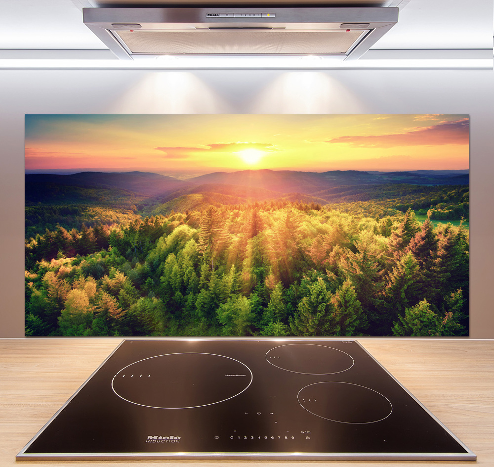 Cooker splashback West forest