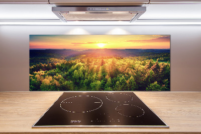 Cooker splashback West forest