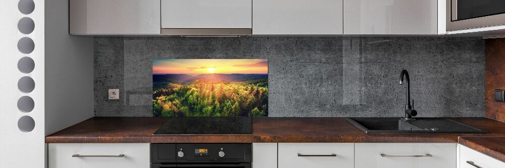 Cooker splashback West forest