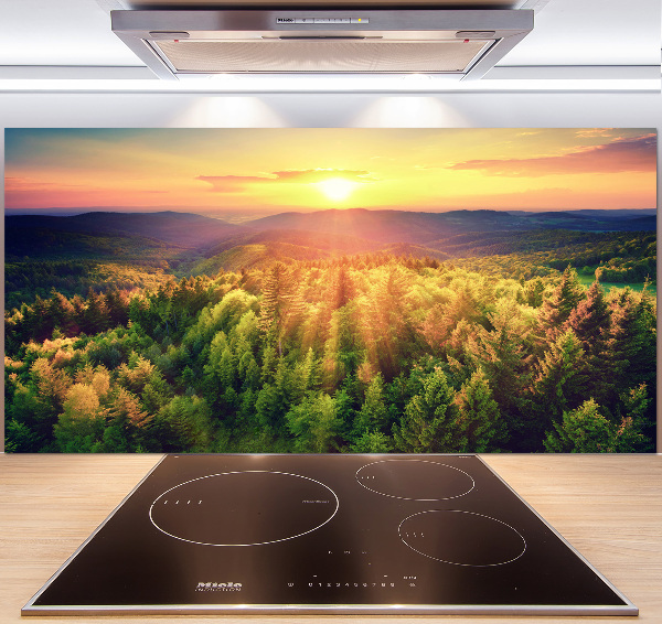 Cooker splashback West forest