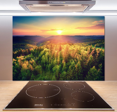 Cooker splashback West forest