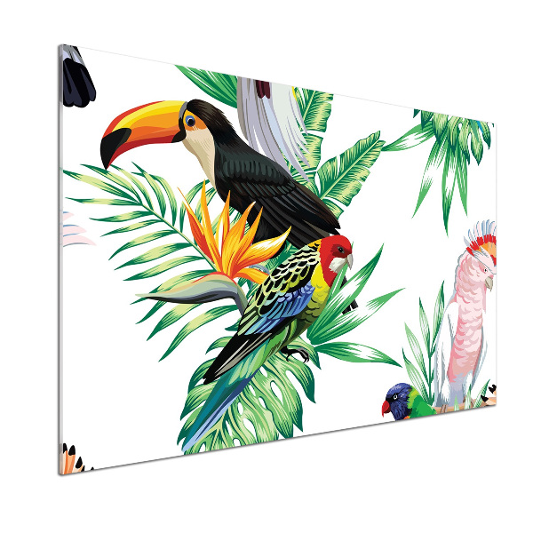 Glass splashback Tropical birds