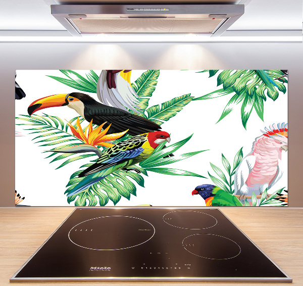 Glass splashback Tropical birds