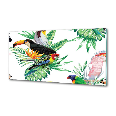 Glass splashback Tropical birds