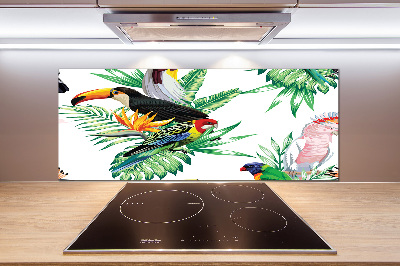 Glass splashback Tropical birds