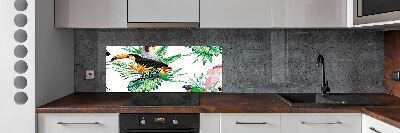 Glass splashback Tropical birds