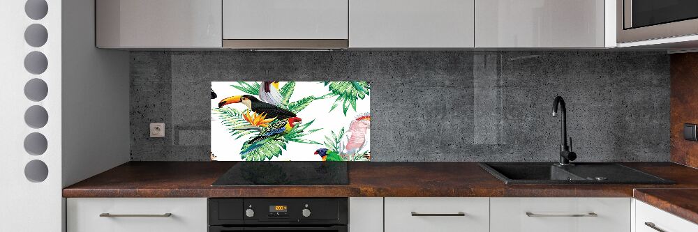 Glass splashback Tropical birds