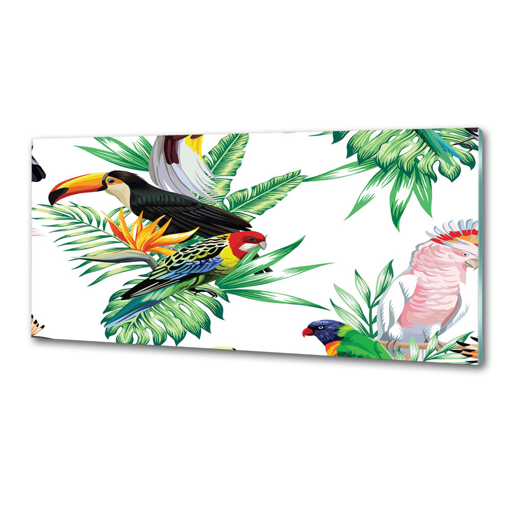 Glass splashback Tropical birds