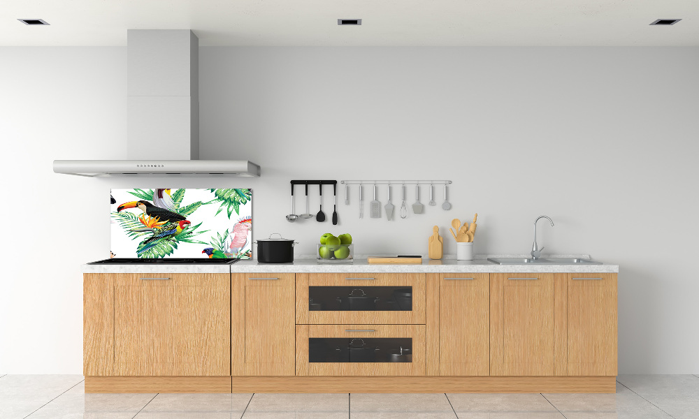 Glass splashback Tropical birds