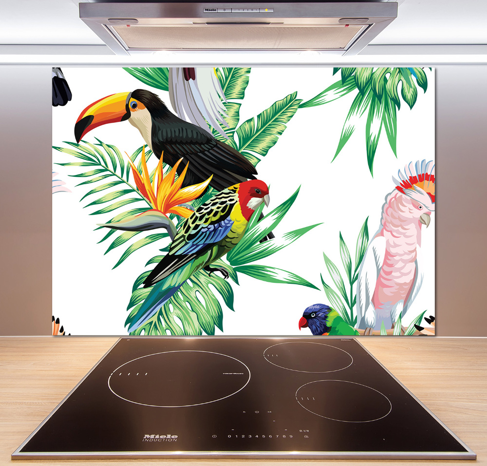 Glass splashback Tropical birds