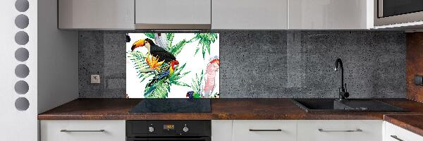 Glass splashback Tropical birds