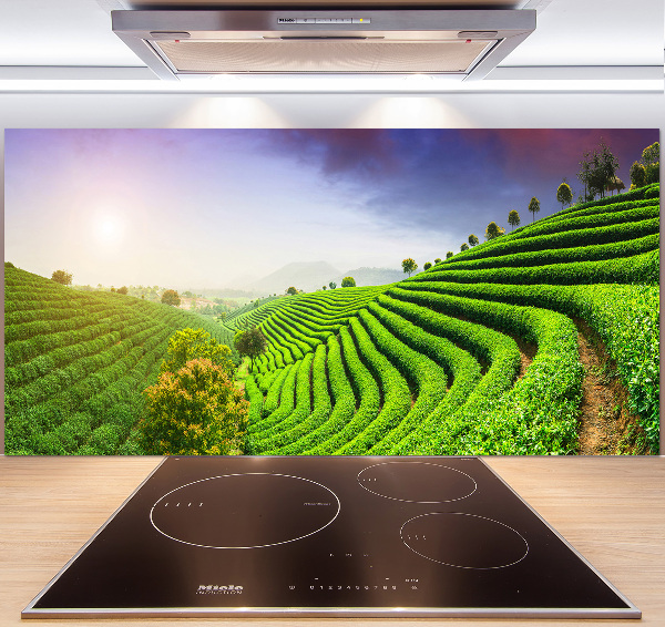 Cooker splashback Tea plantation