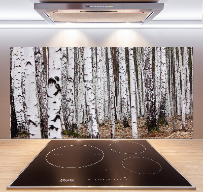 Cooker splashback Birch