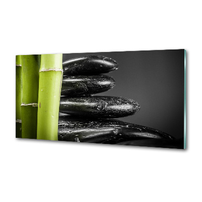 Cooker splashback Bamboo