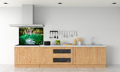 Cooker splashback Plitwickie Lake