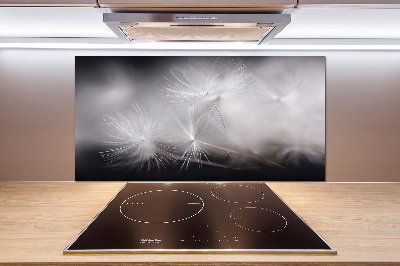 Cooker splashback Dandelion seeds