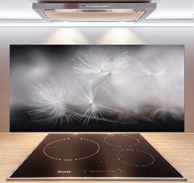 Cooker splashback Dandelion seeds