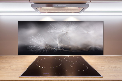 Cooker splashback Dandelion seeds