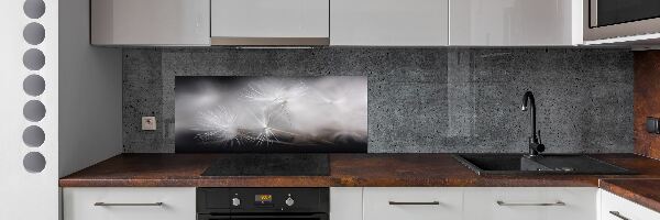 Cooker splashback Dandelion seeds