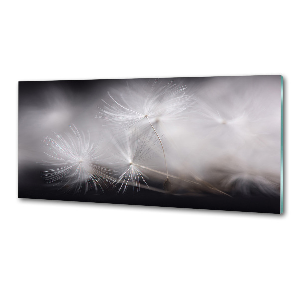 Cooker splashback Dandelion seeds