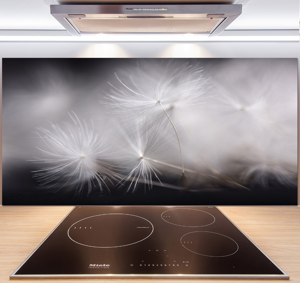 Cooker splashback Dandelion seeds