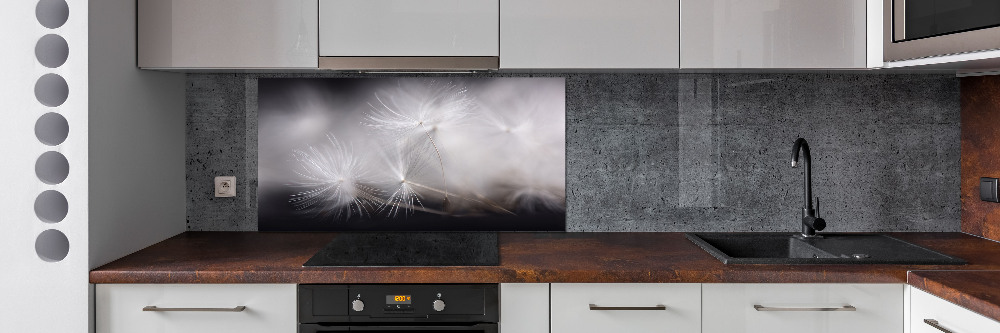 Cooker splashback Dandelion seeds