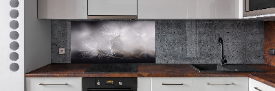 Cooker splashback Dandelion seeds