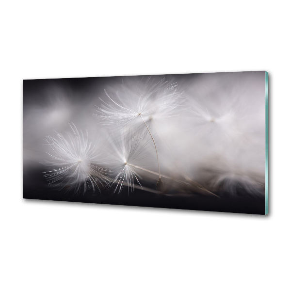 Cooker splashback Dandelion seeds