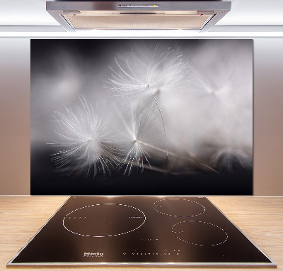 Cooker splashback Dandelion seeds