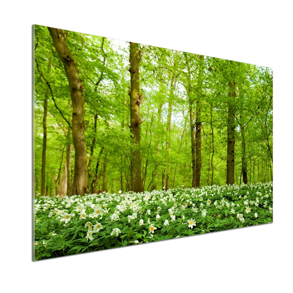 Cooker splashback Flowers in the forest