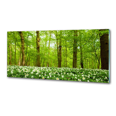 Cooker splashback Flowers in the forest