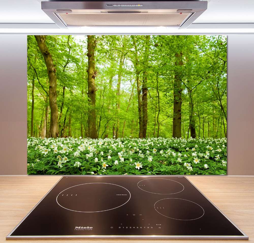 Cooker splashback Flowers in the forest