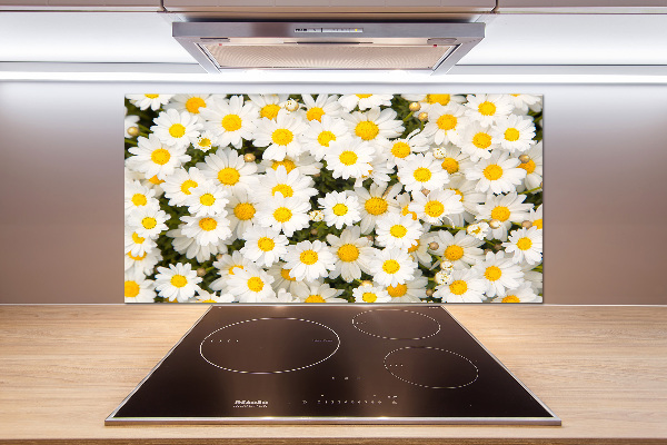 Cooker splashback Daisy