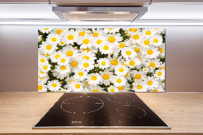 Cooker splashback Daisy