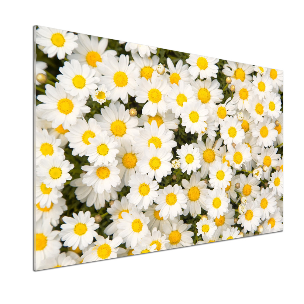 Cooker splashback Daisy