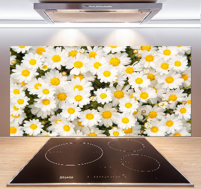 Cooker splashback Daisy