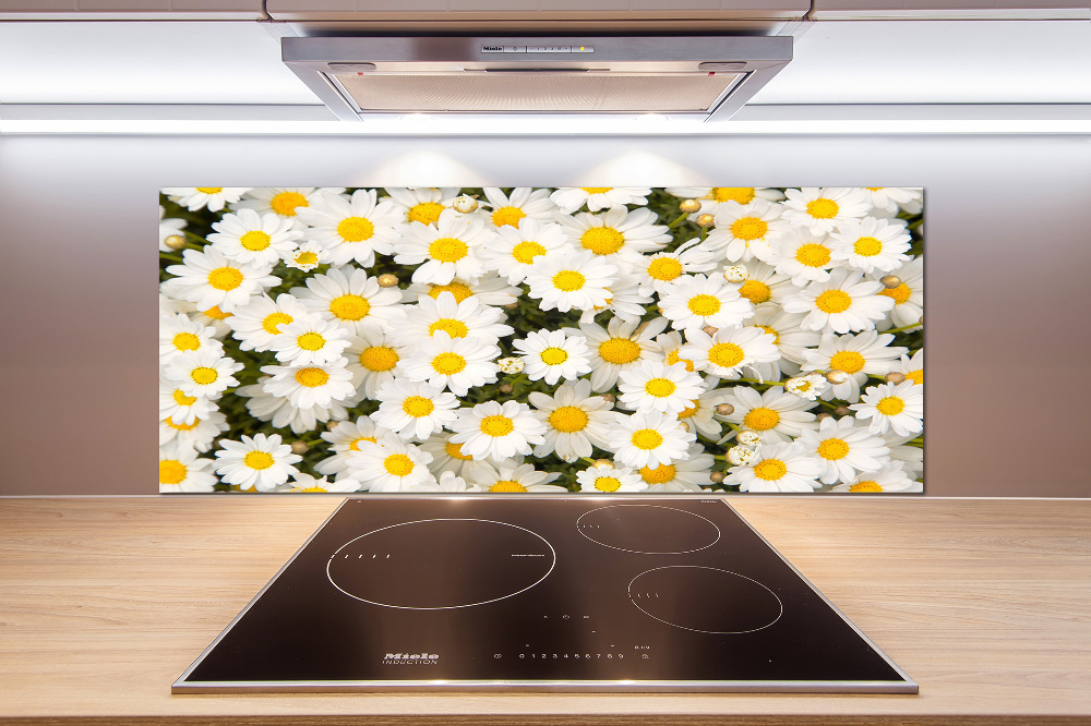 Cooker splashback Daisy