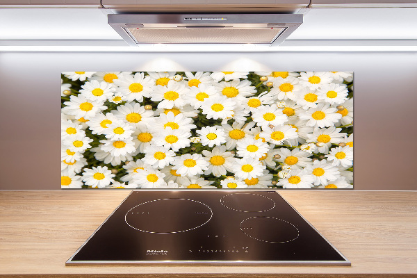 Cooker splashback Daisy