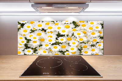 Cooker splashback Daisy