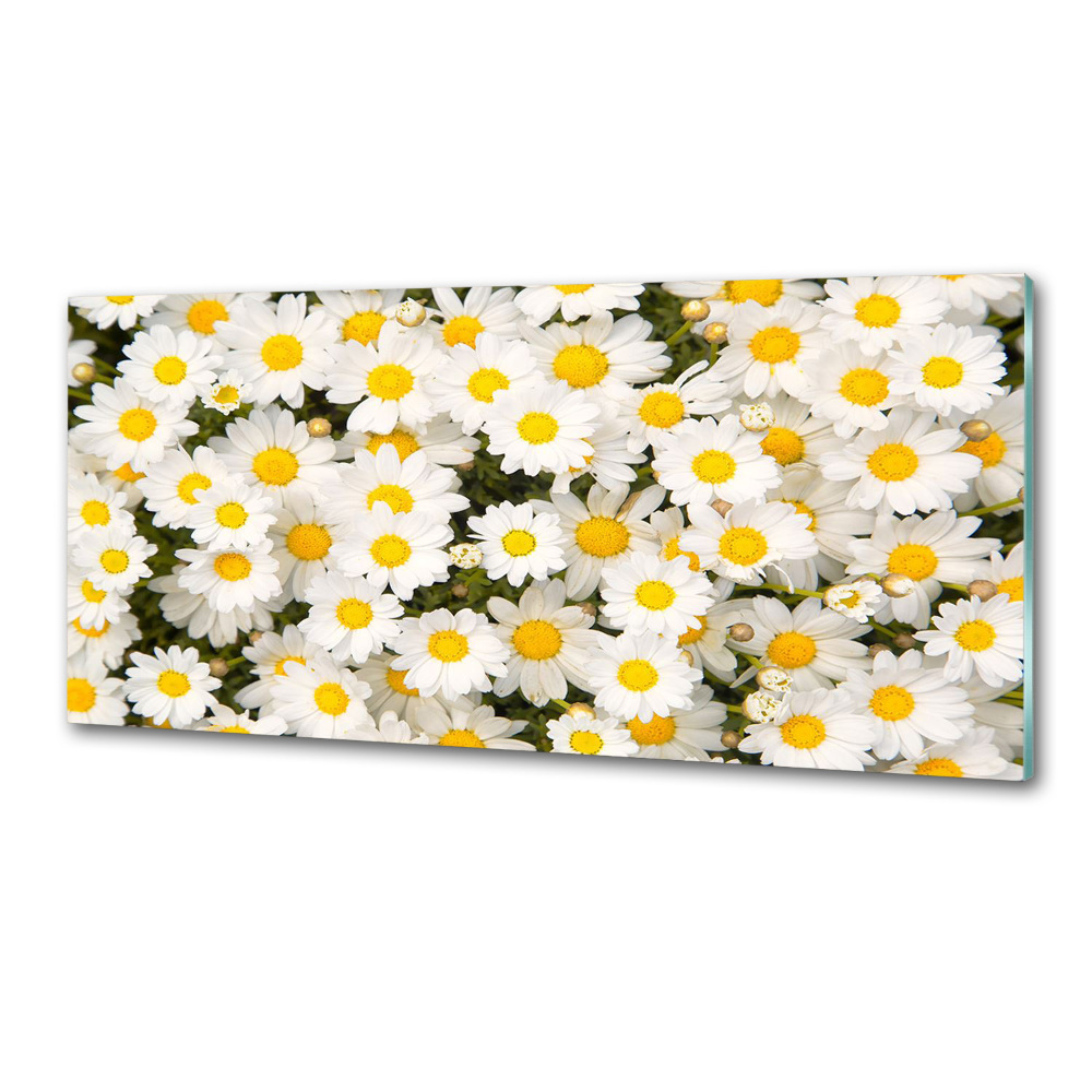 Cooker splashback Daisy