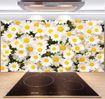 Cooker splashback Daisy