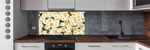 Cooker splashback Daisy