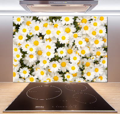 Cooker splashback Daisy