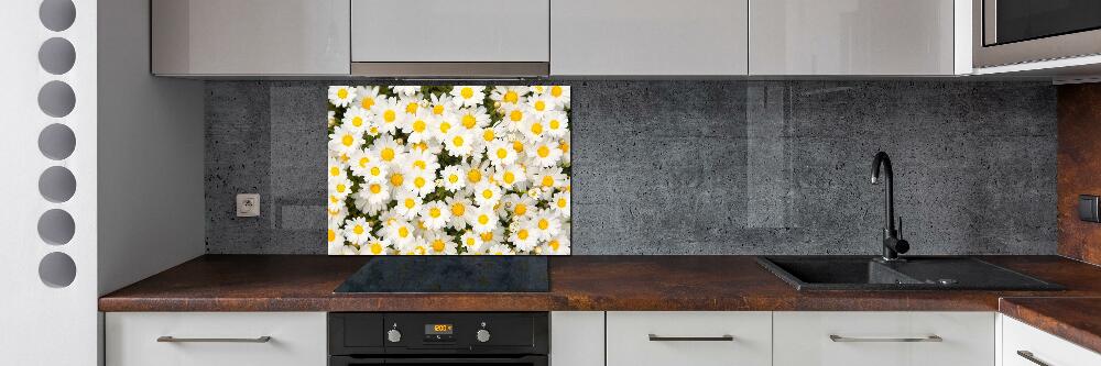 Cooker splashback Daisy