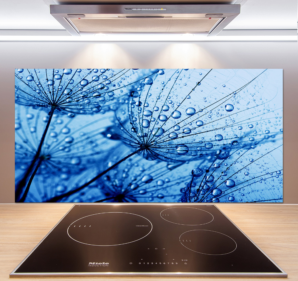 Cooker splashback Dandelion seeds