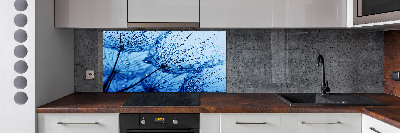 Cooker splashback Dandelion seeds