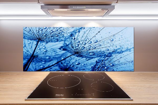 Cooker splashback Dandelion seeds