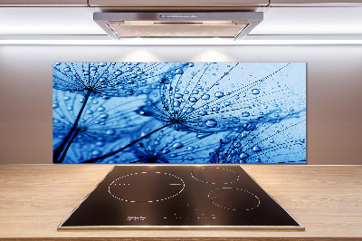 Cooker splashback Dandelion seeds