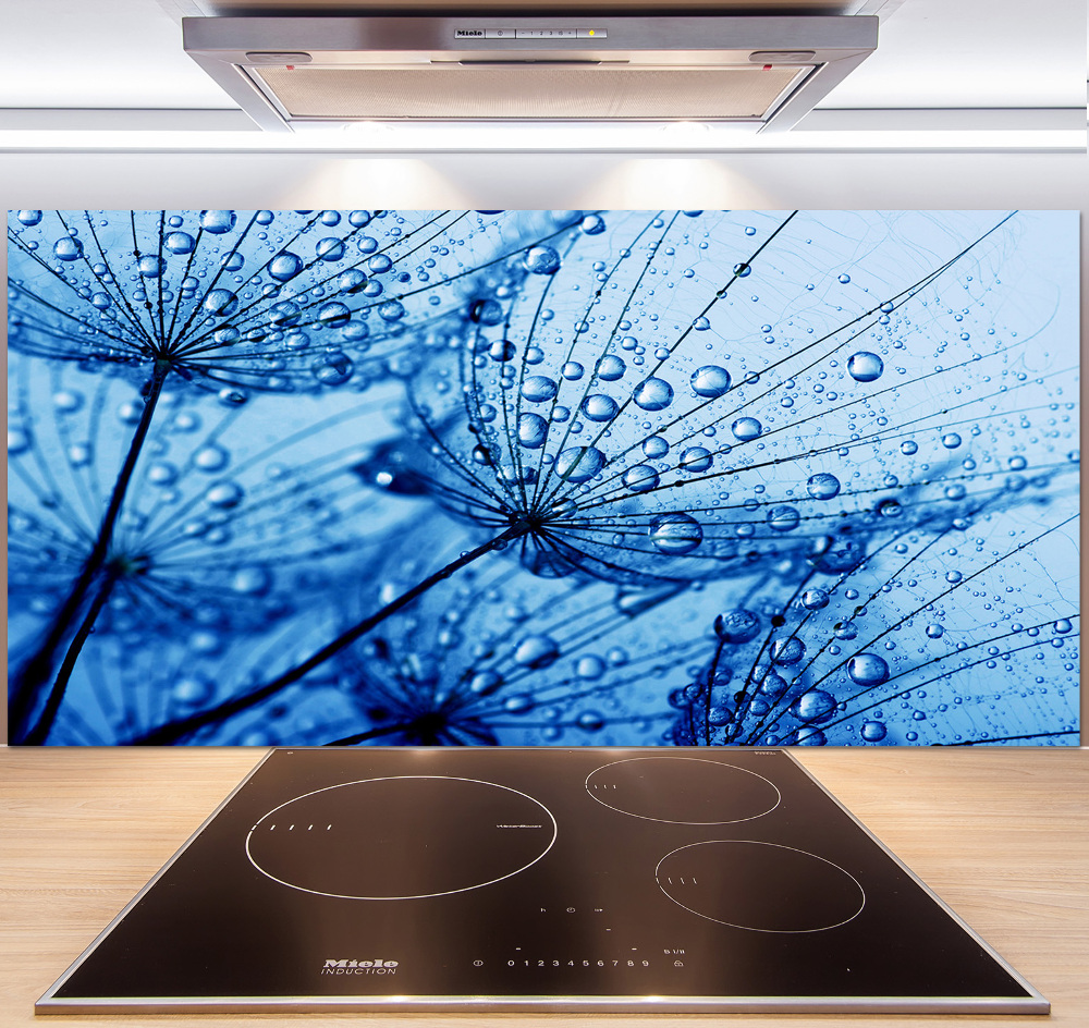 Cooker splashback Dandelion seeds