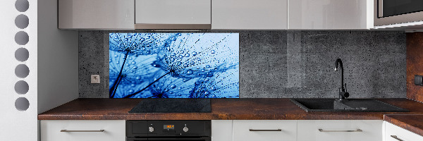 Cooker splashback Dandelion seeds